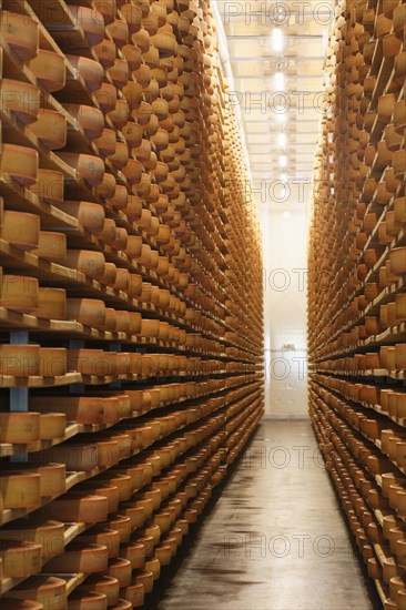 Bregenzerwalder Kasekeller cheese cellar for Alpine cheese