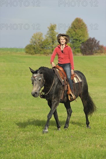 Western ridden Connemara Pony