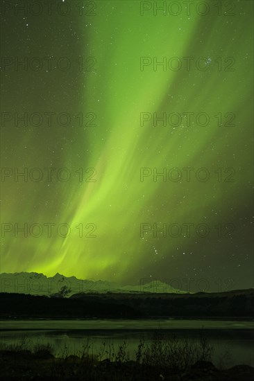 Aurora borealis over College Fjord