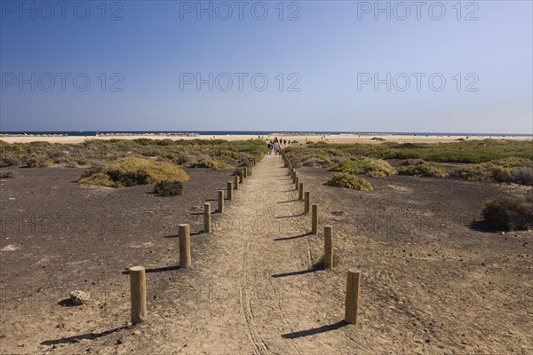 Beach of Jandia Playa
