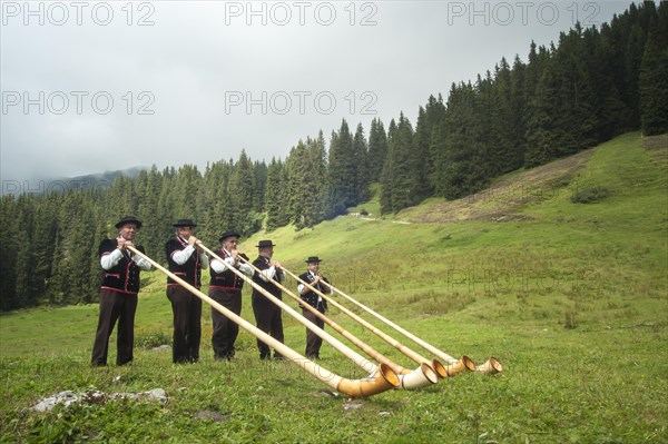 Group of alphorn players performing on a meadow in Justistal valley