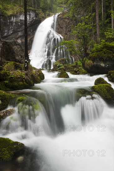 Brook with moss-covered stones