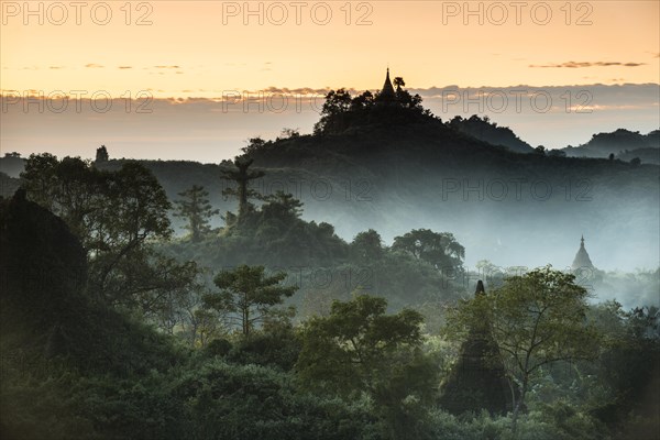 Pagodas surrounded by trees