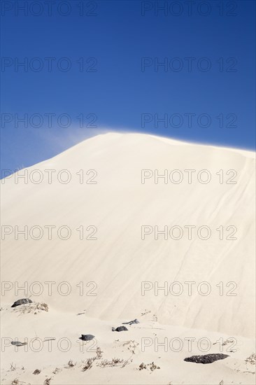 Dune