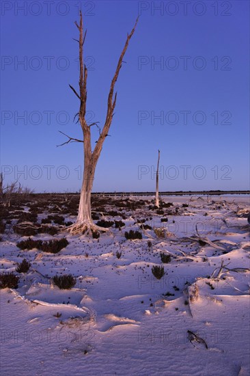 Lake Ninan