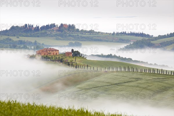 Fog in the valleys of the Crete Senesi