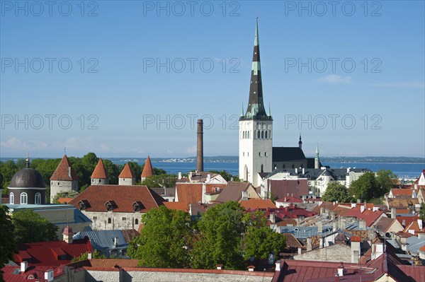 View from Toompea or Cathedral Hill over Lower Town and St. Olaf's Church