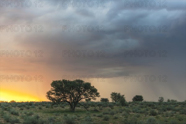Storm clouds over the dunes in the Auob Valley