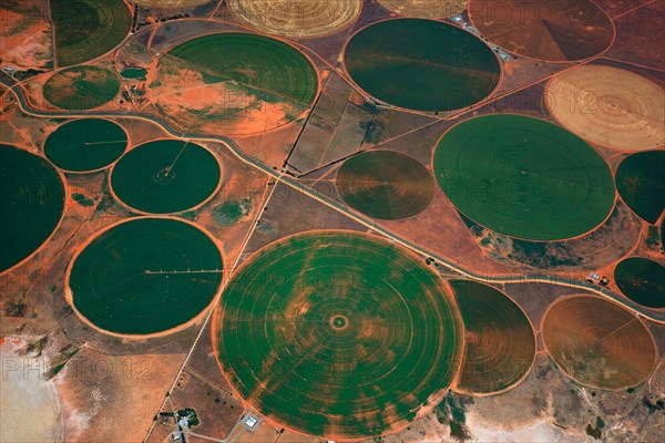 Circular fields on the Orange River