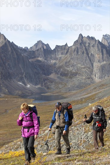 People hiking in arctic or subalpine tundra