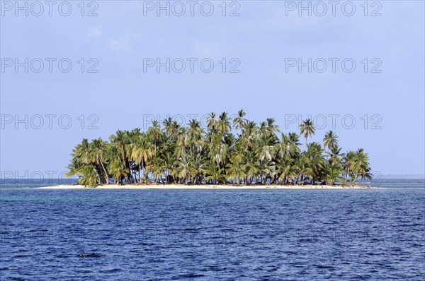 Tropical island with palm trees