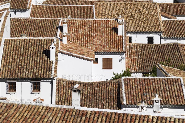 Overlooking the roofs of the White Town of Grazalema