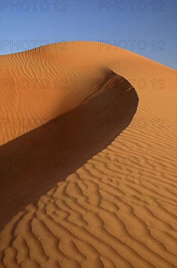 The sand dunes of the Wahiba Sands desert