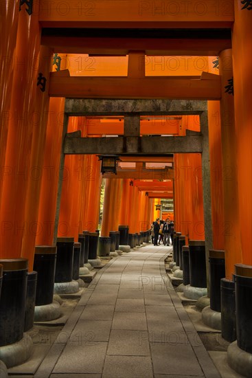 Torii or gates leading to the inner shrine