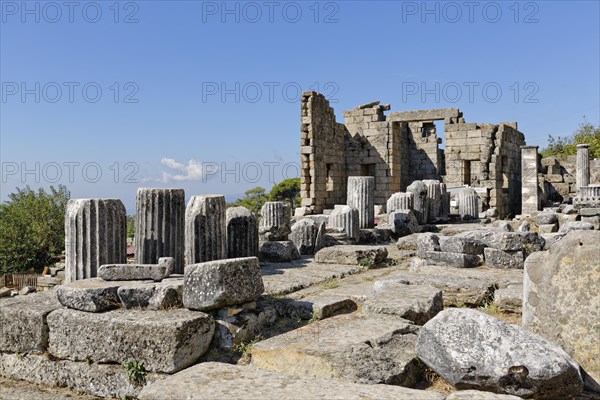 Temple of Zeus and the Andron of Idrieus