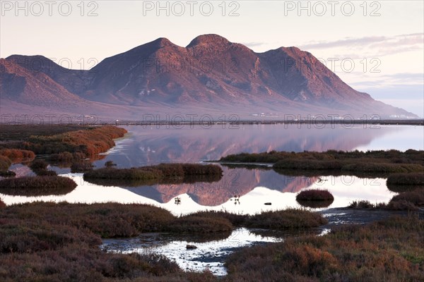 Salt pans in the last evening light