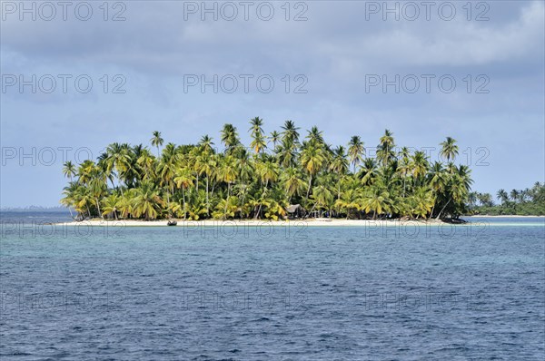 Tropical island with palm trees