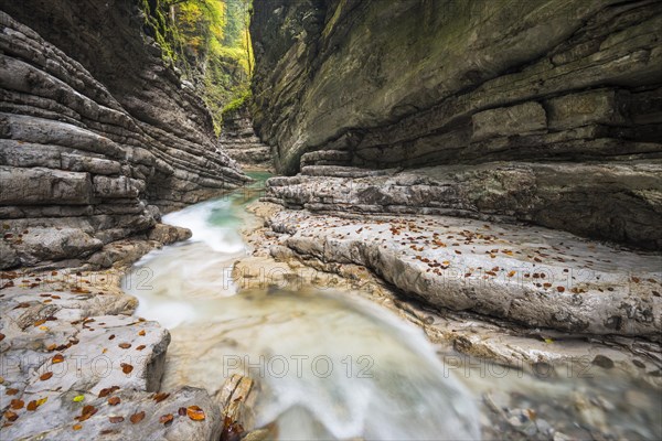 The Taugl river