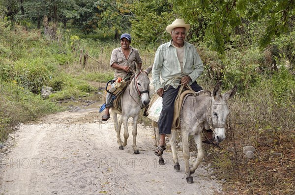 Peasants riding donkeys