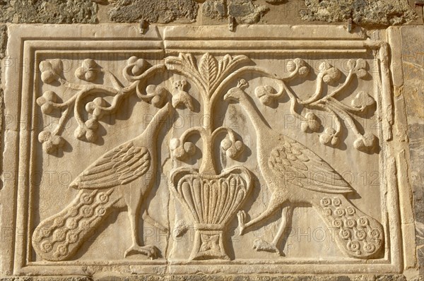 Carving of two peacocks on the facade of St Mark's Basilica