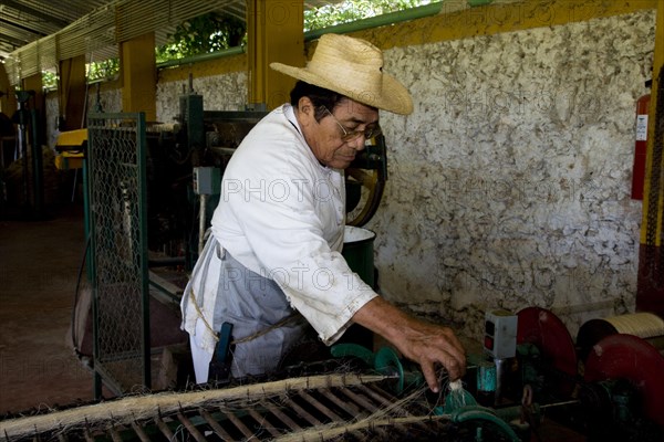 Sisal worker at the Hacienda de Sotuta de Peon