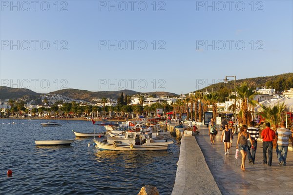 Fishing boats in Kumbahce Bay