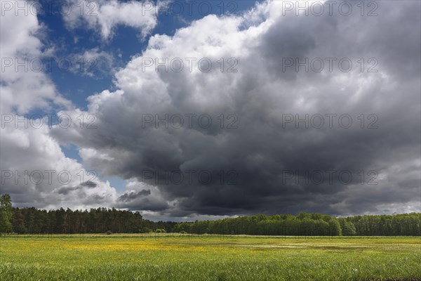 Cloudy sky above the shore meadows at the headwaters of the river Havel