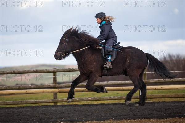 Girl riding an Icelandic Horse in a gallop