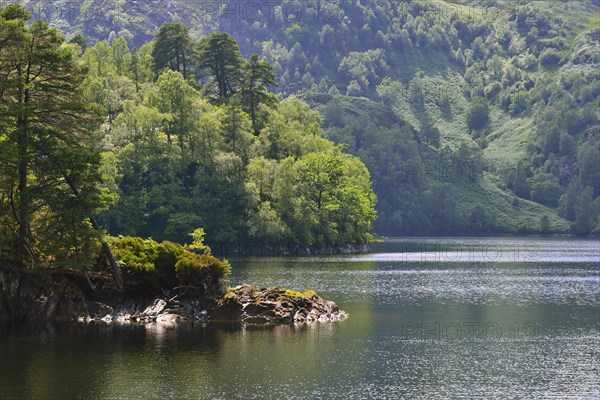 Waterside scenery at Loch Katrine