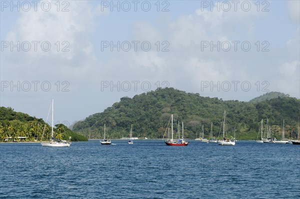 Sailboats in the bay of Isla Linton