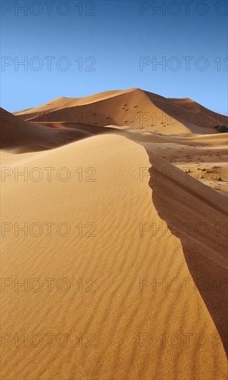 Sahara sand dunes of erg Chebbi
