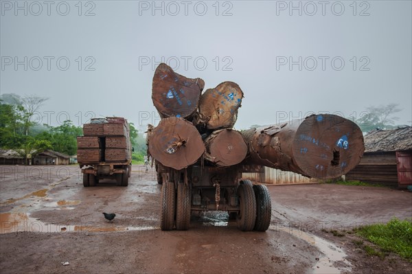 Tropical timber on a truck