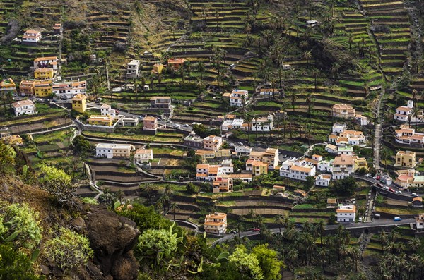 Houses in the valley