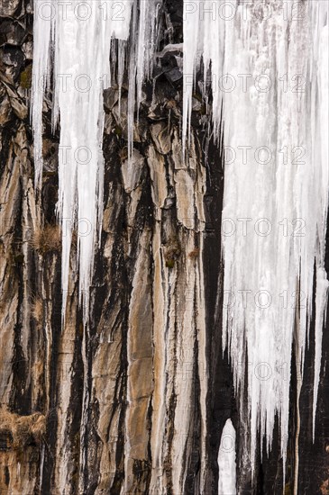 Svartifoss waterfall with icicles on the basaltic columns