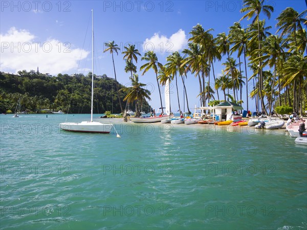 Palms on the sandy beach and boats in Marigot Bay