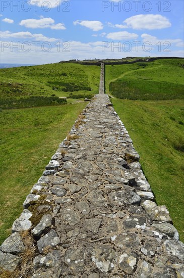 Hadrian's Wall meandering through the landscape