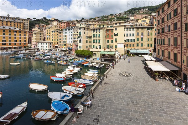 Harbour with fishing boats