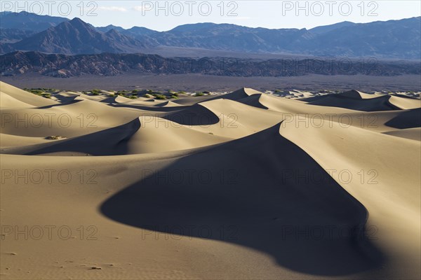 Mesquite Flat Sand Dunes in the early morning