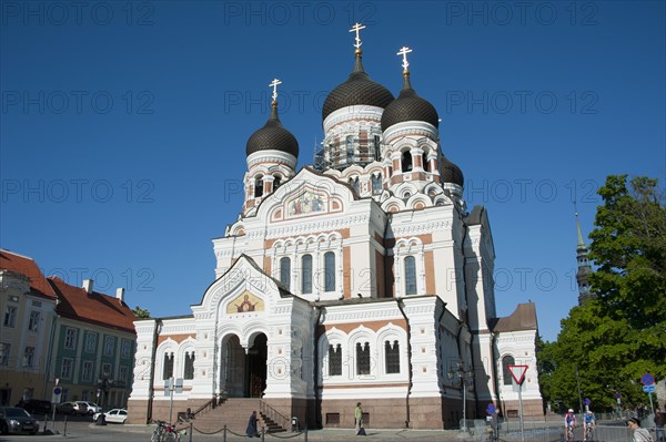 Alexander Nevsky Cathedral