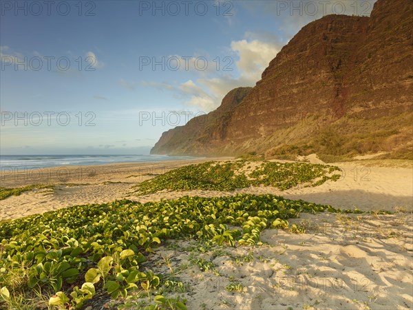 Sandy beach on the Napali Coast