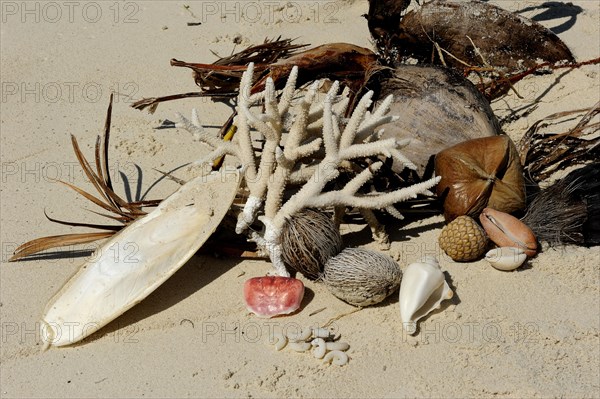 Organic flotsam