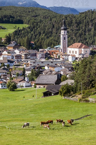 Townscape of Castelrotto