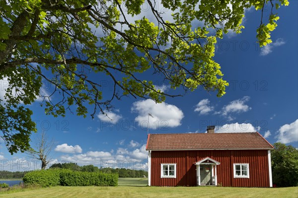 House painted Falu red