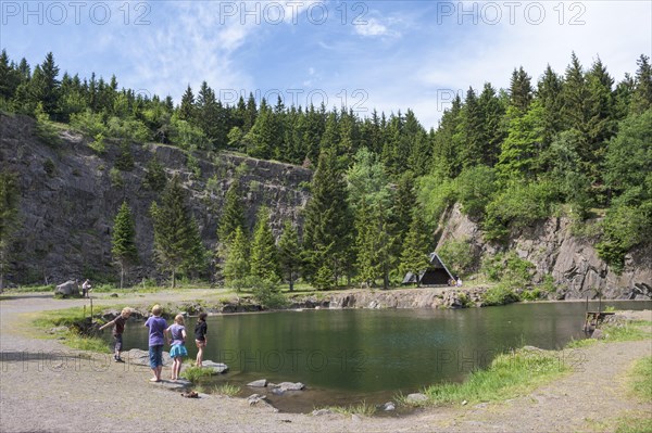 Bergsee Ebertswiese