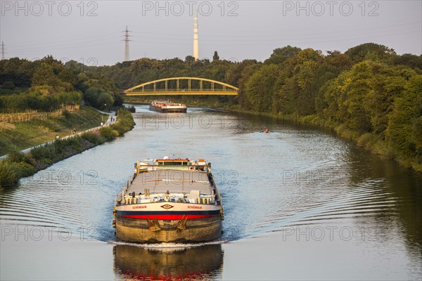 Motor cargo ship MS Schoenrain