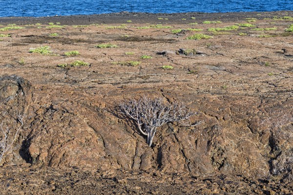 Rocky landscape