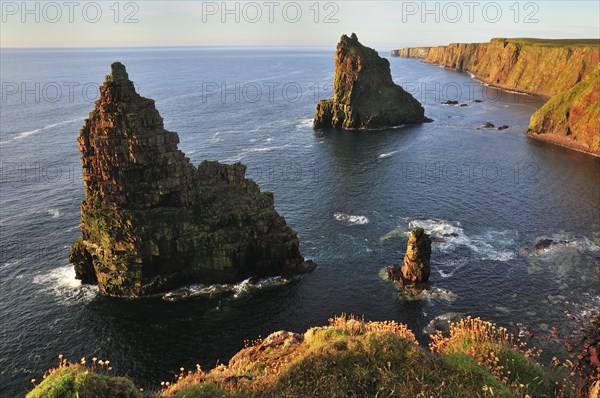 Duncansby Stacks pinnacles in the morning light
