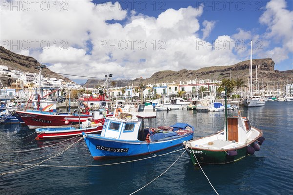 Fishing boats in the harbor