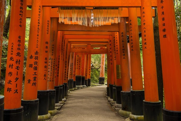 Torii or gates leading to the inner shrine