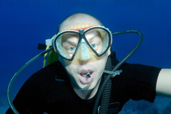 Diver and False Cleanerfish (Aspidontus taeniatus)